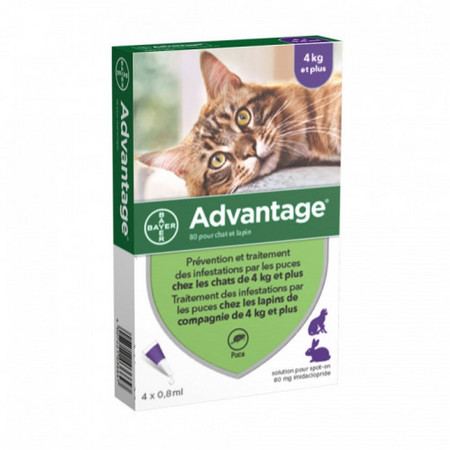 Advantage 80 Chat/Lapin Traitement Infestations Puces +4kg, 4 x 0,8 ml