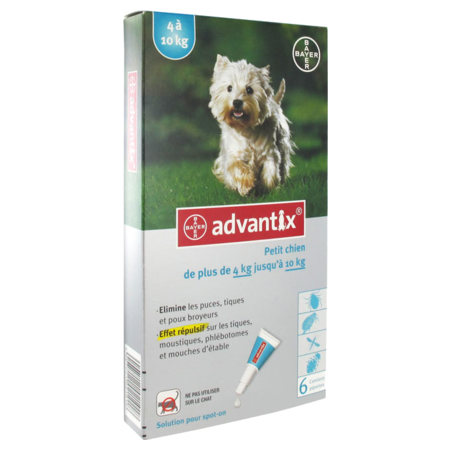 Advantix petit chien, boîte de 1 sachet de 1 plaquette de 6 pipettes de 1 ml