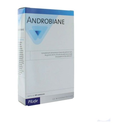 ANDROBIANE PROTECT CAPS 60    