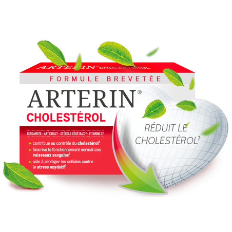 Arterin Cholestérol boîte 90 comprimés