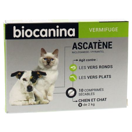 Ascatene comprimes, boîte de 1 plaquette de 10 comprimés