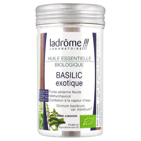 Basilic exotiq ladrome hle ess