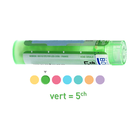Boiron arum triphyllum 5ch, 1 tube de 80 granules