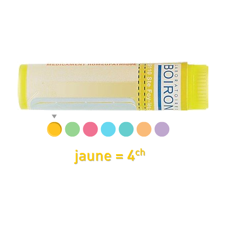 Boiron bryonia 4ch, 1 dose de globules