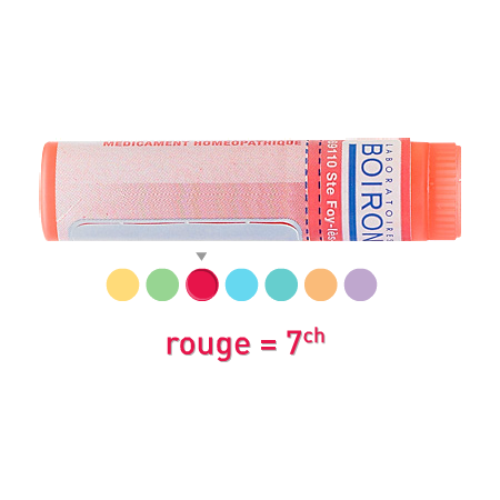 Boiron cantharis 7ch, 1 dose de globules