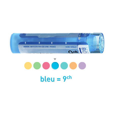 Boiron lachesis (mutus) 9ch, 1 tube de 80 granules