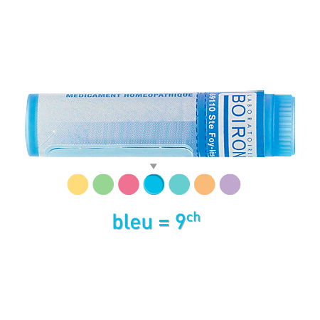 Boiron nux vom(colubr.) 9ch, 1 dose de globules