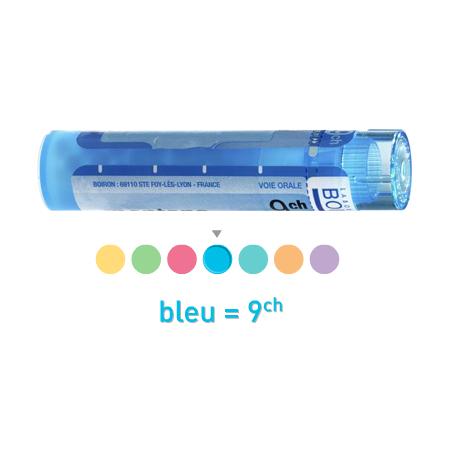 Boiron petroleum 9ch, 1 tube de 80 granules