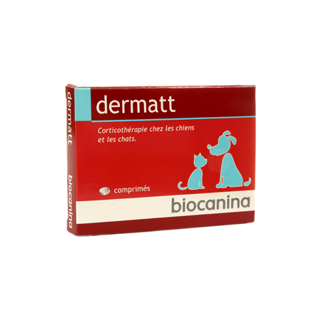 DERMATT CPR B/20