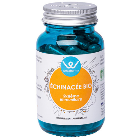 Echinacée bio