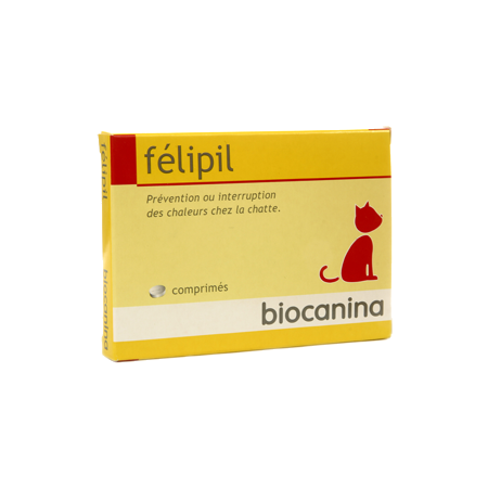 Felipil, boîte de 1 plaquette de 12 comprimés