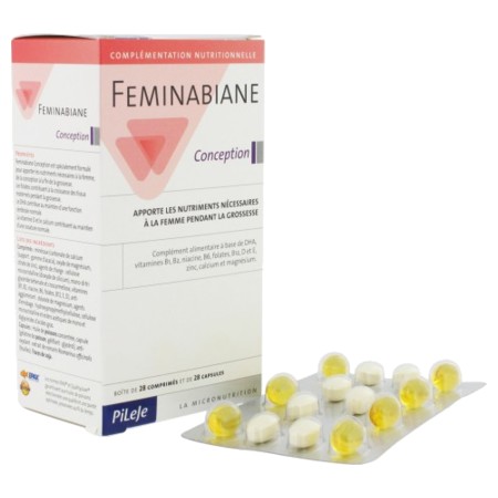 Pileje ferminabiane conception 28 comprimés/ 28 capsules