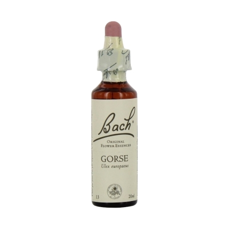 Fleurs de bach original fleur de bach gorse n°13 - 20 ml