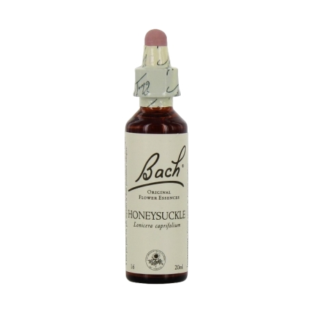 Fleurs de bach original fleur de bach  honeysuckle n°16 - 20 ml