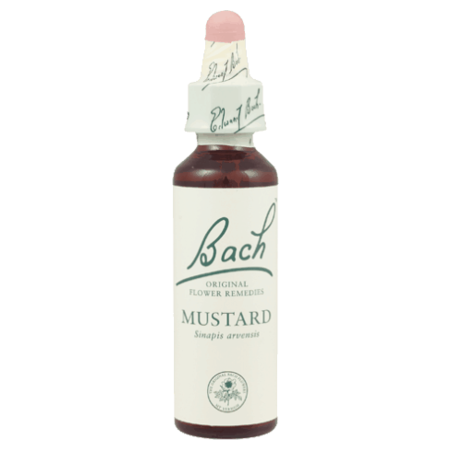 Fleurs de bach original fleur de bach mustard n°21 - 20 ml