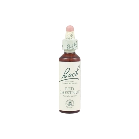 Fleurs de bach original fleur de bach red chestnut n°25 - 20 ml