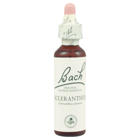 Fleurs de bach original fleur de bach scleranthus n°28 - 20 ml