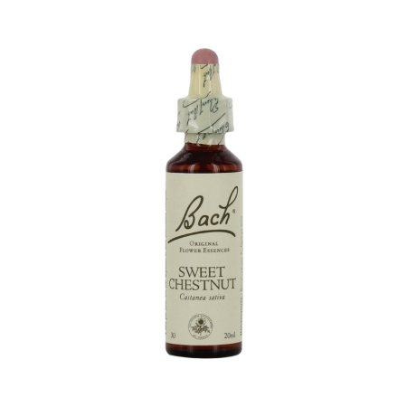 Fleurs de bach original fleur de bach sweet chestnut n°30 - 20 ml