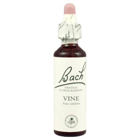 Fleurs de bach original fleur de bach vine n°32 - 20 ml