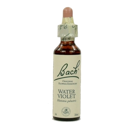 Fleurs de bach original fleur de bach water violet n°34 - 20 ml