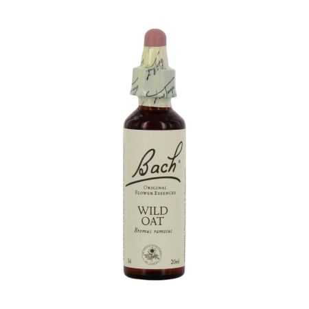 Fleurs de bach original fleur de bach wild oat n°36 - 20 ml