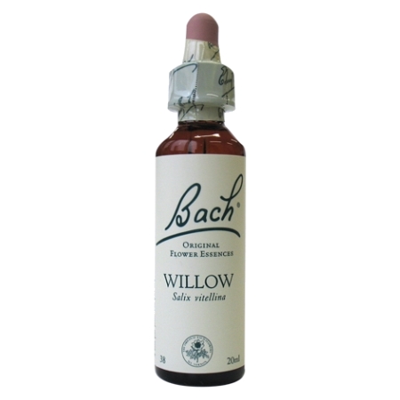 Fleurs de bach original fleur de bach willow n°38 - 20 ml