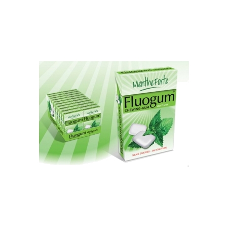 Fluogum sans sucre menthe gomme macher, 28 g