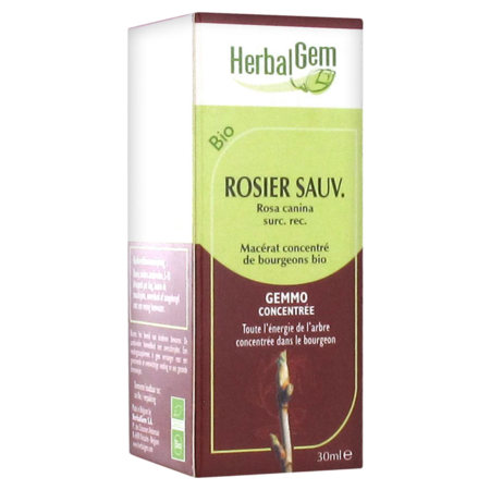 Herbalgem rosier sauvage 30ml 