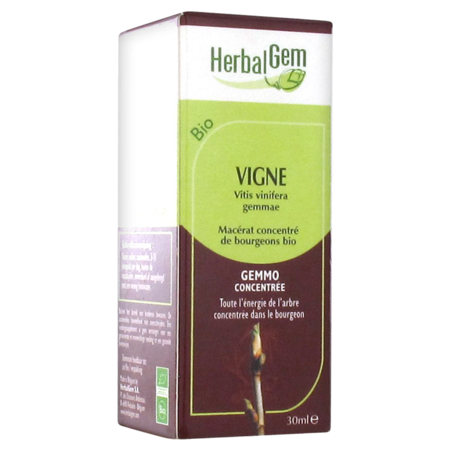 Herbalgem vigne macérat bio fl c-gtt/30ml