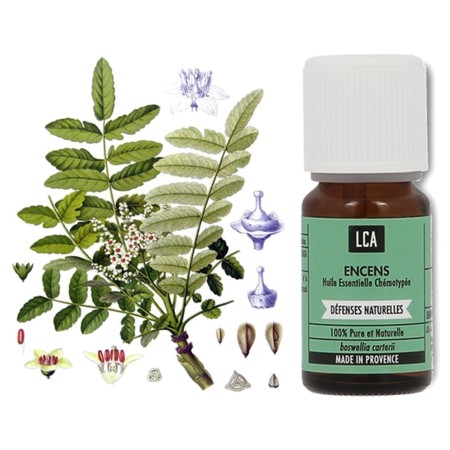 LCA Huile Essentielle Bio d'Encens ou Oliban, Flacon de 5 ml