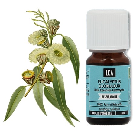 LCA Huile Essentielle Bio d'Eucalypstus Globuleux, 10 ml