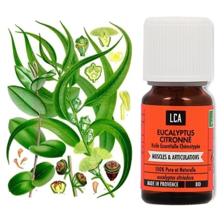 LCA Huile Essentielle Bio d'Eucalyptus Citronné, Flacon de 10 ml