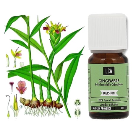 LCA Huile Essentielle Bio de Gingembre, 5 ml