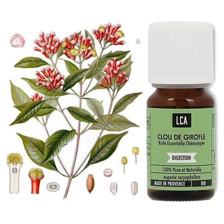 LCA Huille Essentielle Clou de Girofle Bio, 10 ml