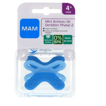 Mam anneau dentition mini anneau phase, x 2