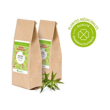 Marque verte verveine feuille, 25 g de tisane en vrac