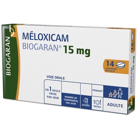 Meloxicam biogaran 15 mg, 14 comprimés sécables