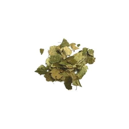 Marque verte bouleau feuille, 100 g de tisane en vrac