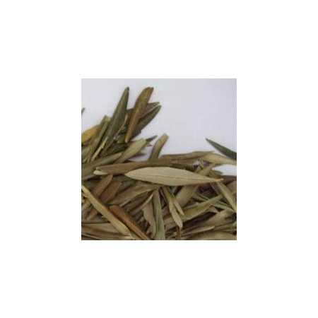 Marque verte olivier feuille, 100 g de tisane en vrac