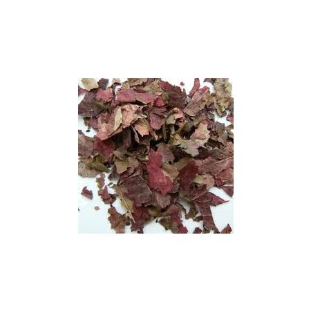 Marque verte vigne rouge feuille, 70 g de tisane en vrac