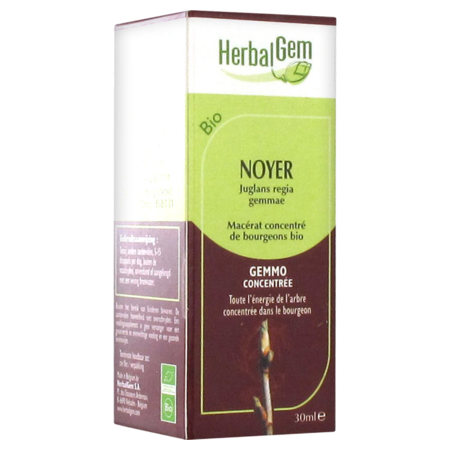 Noyer macerat mere 30ml herbal