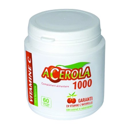 Phyto terra acerola 1000 cpr 60