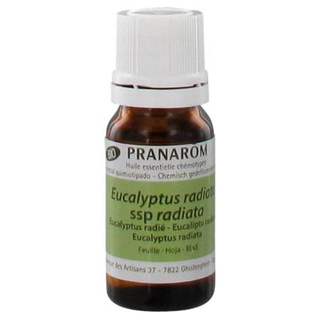 Pranarom hect bio eucalyptus radie feuille 10ml