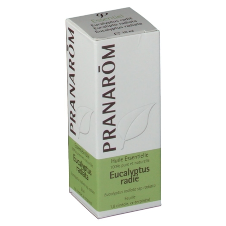 Pranarôm huile essentielle eucalyptus radié - 10 ml