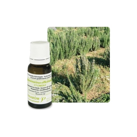 Pranarôm huile essentielle romarin à cinéole - 10 ml