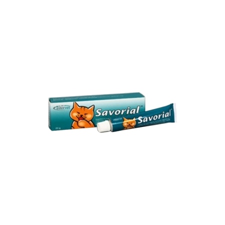 Savorial Pate Orale Chat 20g