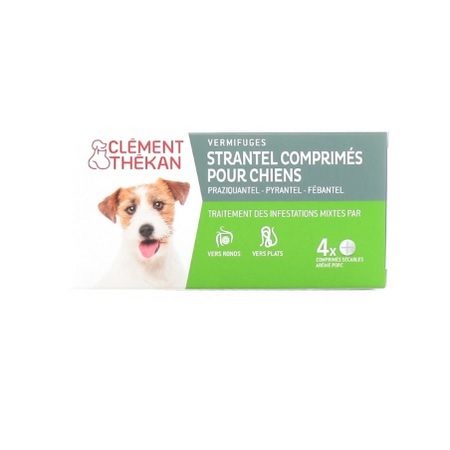 Strantel chien comprimés, x 4