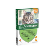 Advantage 40 Chat/Lapin Traitement Infestations Puces -4kg, 4 x 0,4 ml