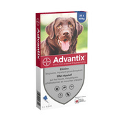 Advantix Grand Chien 25 à 40kg, 4 Pipettes de 4ml