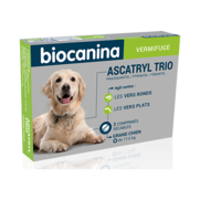 Ascatryl trio chien, boîte de 1 plaquette de 2 comprimés sécables